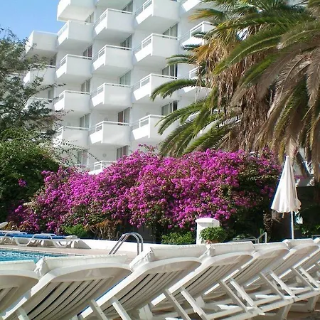 Ponderosa Apartament